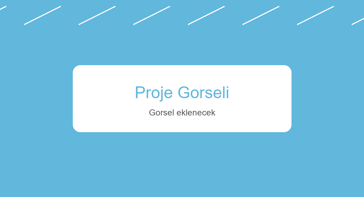 Proje Başlığı 1